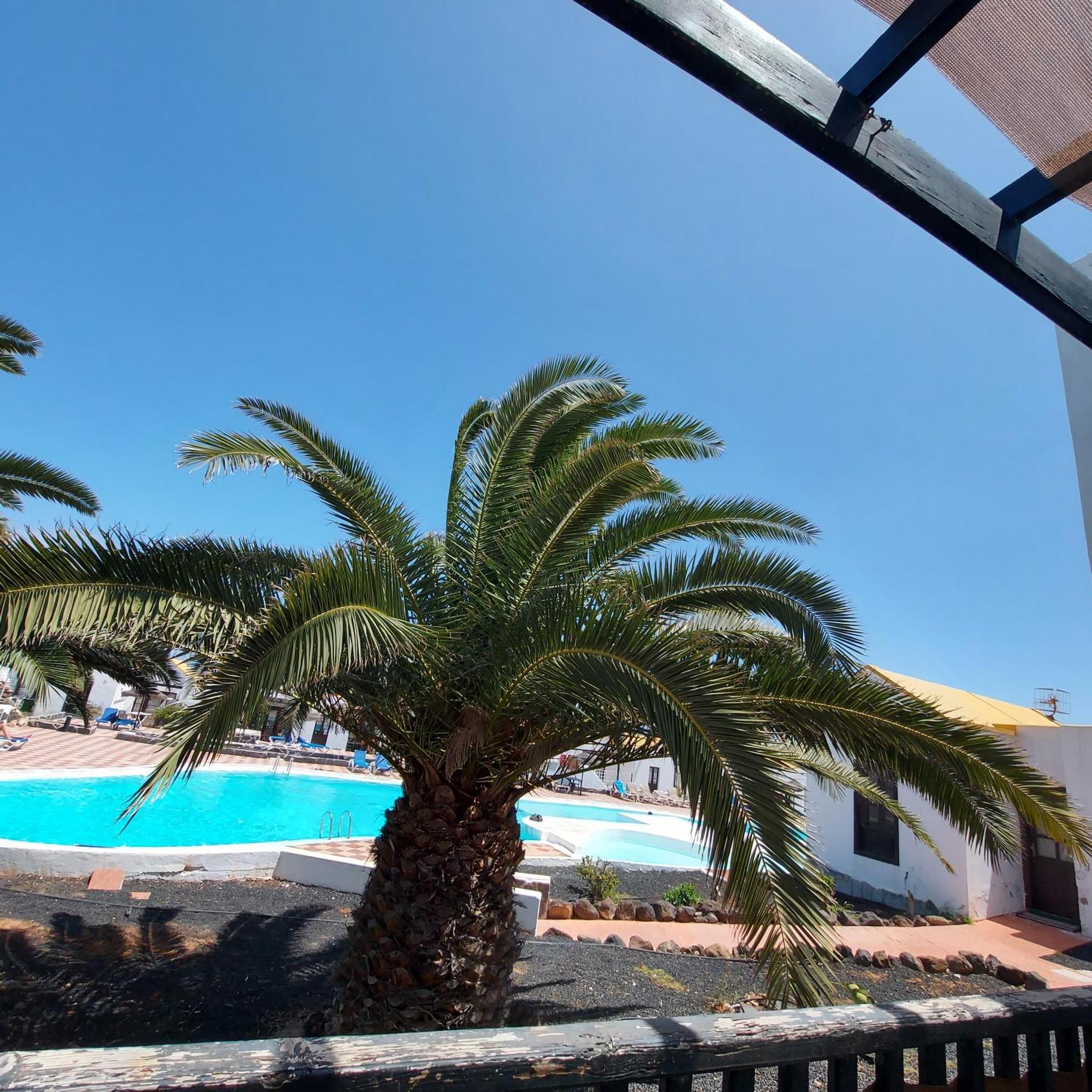 Ferienhaus Monte Castilo F7 Caleta De Fuste